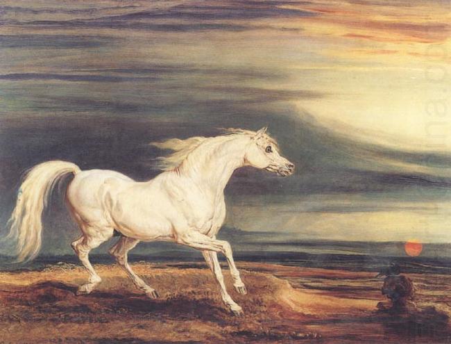 Napoleon's Horse,Marengo at Waterloo, James Ward